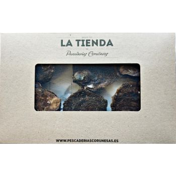 Bandeja de Ostra de Belon Preabierta (6 unidades)