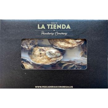 Bandeja de Ostra Spécial le Claire Preabierta (6 unidades)