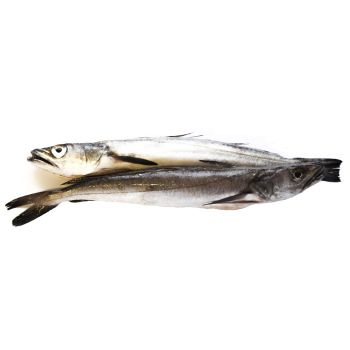 Pescadilla de ración