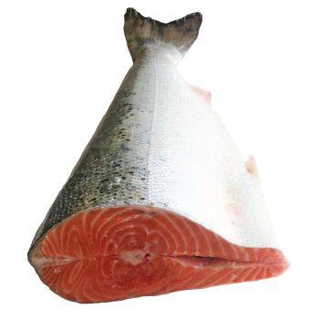 Salmón ecológico al corte