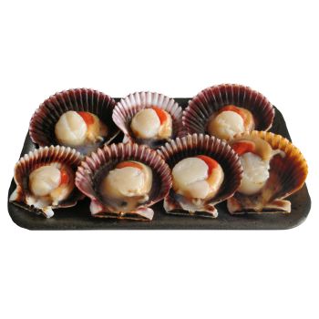 Zamburiña, media concha (7 unds.)